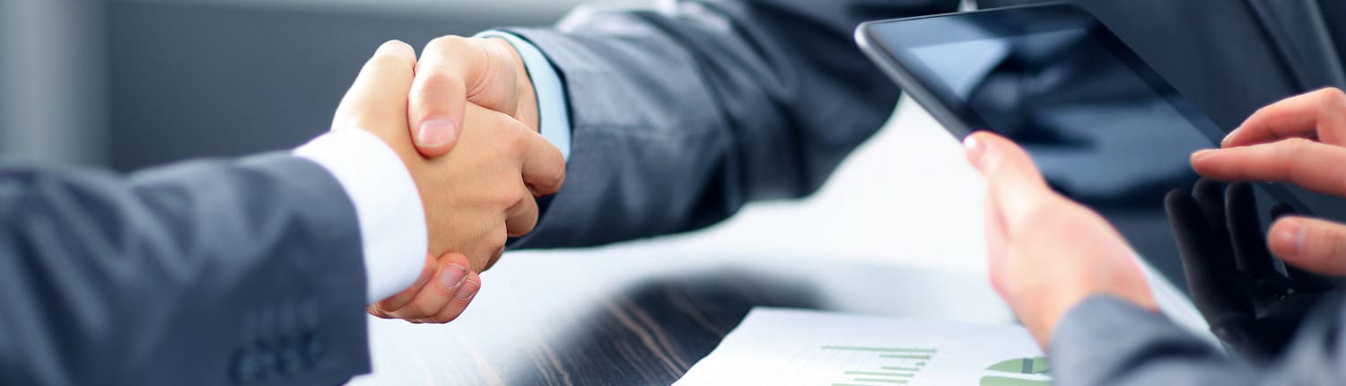 Implementation, Customisation, Training and Support Services.